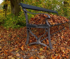 las, liście, suche, ławka, Jesień