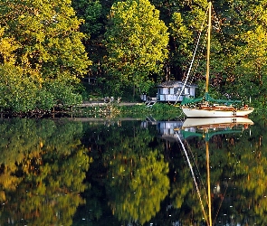 Las, Żaglówka, Domek, Letniskowy, Jezioro