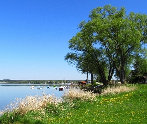 Wiosna, Drzewa, Jezioro