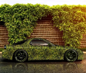 Mur, Rośliny, Mazda, RX-7