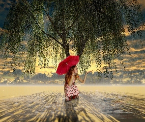 Czerwona, Deszcz, Drzewo, Parasolka, Kobieta