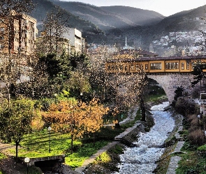 Drzewa, Most, Bursa, Turcja, Miasto, Rzeka