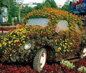 Samochód, Kompozycja, Kwiaty, Kwietnik, Ogród