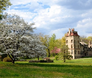 Fonthill Castle, Drzewa, Stany Zjednoczone, Stan Pensylwania, Muzeum