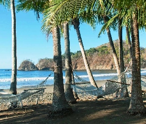 Palmy, Hamaki, Plaża, Morze