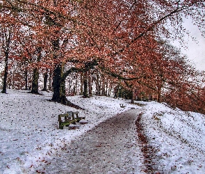 Park, Ławeczki, Zima