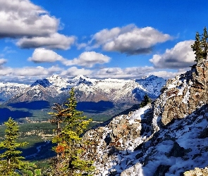 Góry, Drzewa, Skały