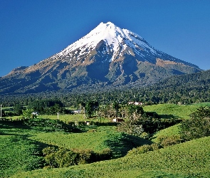 Taranaki, Domy, Łąki, Lasy, Wulkan