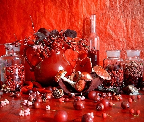 Muchomory, Owoców, Jagody, Różnych