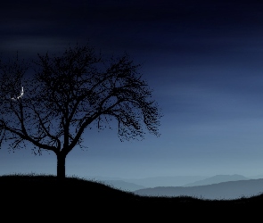 Drzewo, Noc, Księżyc
