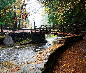 Jesień, Most, Park, Rzeczka