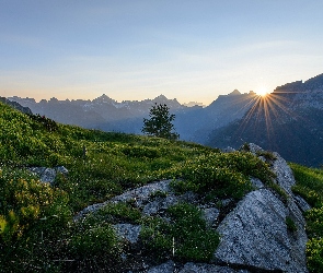 Szwajcaria, Promienie Słońca, Alpy, Świt, Góry