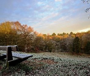 Ławka, Szron, Park
