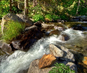 Kamienie, Rzeka