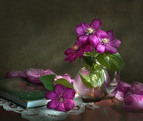 Clematis, Kompozycja, Wazon