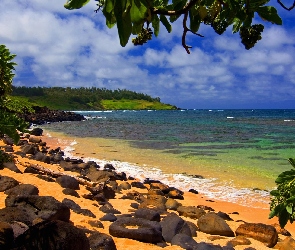 Kamienie, Hawaje, Morze