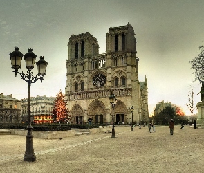 Paryż, Francja, Choinka, Notre, Dame, Katedra