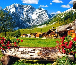 Lato, Kwiaty, Góry, Domy
