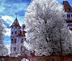 Zamek w Branie, Rumunia, Miejscowość Bran, Siedmiogród, Castelul Bran