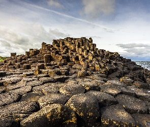 Formacja Giants Causeway, Kamienie, Morze, Skały, Antrim, Grobla Olbrzyma, Irlandia Północna, Wschód słońca