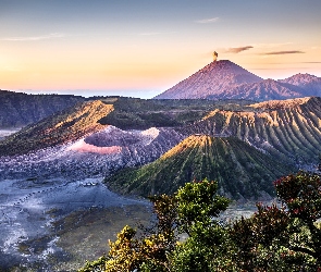 Indonezja, Krzewy, Góra, Bromo