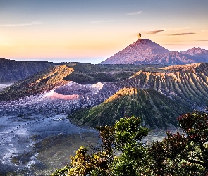 Góra, Indonezja, Krzewy, Bromo