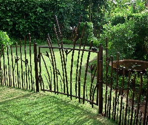 Wyspa, Johnson, Hawaje, Ogród, Przebijające, Kauai, Światło, Gate