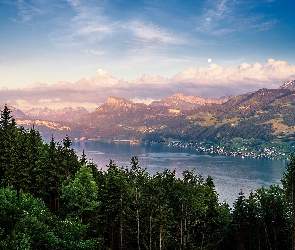 Góry, Drzewa, Jezioro
