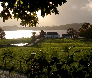 Jezioro, Poranek, Mgła, Łąka, Dom