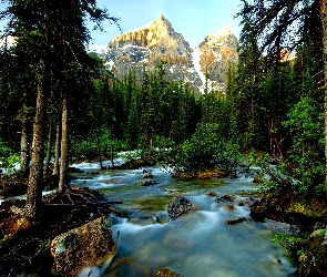 Kanada, Park Narodowy Banff, Las, Rzeka, Góry