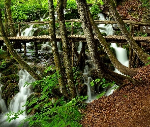 Las, Kładka, Drewniana, Wodospady