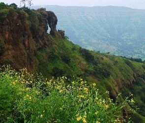 Indie, Mahabaleshwar, Góra, Kwiatki