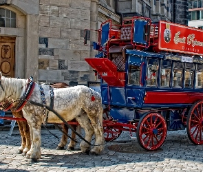 Miasta, Rynek, Konie, Wóz