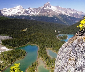 Kanada, Jeziora, Góry, Lasy