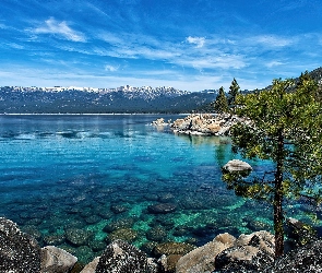 Sosna, Kamienie, Góry, Nevada, Jezioro, Tahoe