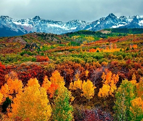 Góry, Lasy, Jesień