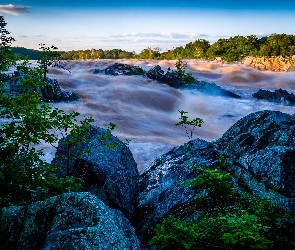 Drzewa, Kamienie, Rwąca, Rzeka