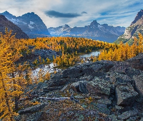 Góry, Las, Kanada, Jezioro, Ohara, Kamienie