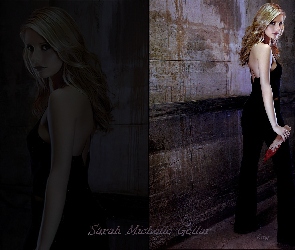 Sarah Michelle Gellar, Kakrwawiony kołek