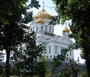 Katedra, Drzewa, Kopuły, Moskwa, Złote