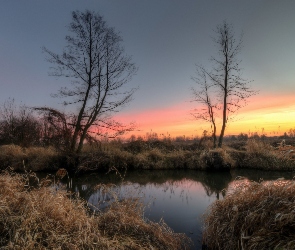 Rzeka, Słońca, Wschód, Szuwary