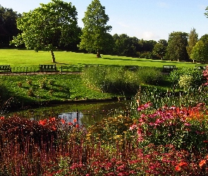 Londyn, Kwiaty Staw, Ławki, Park Hampstead Heath, Anglia