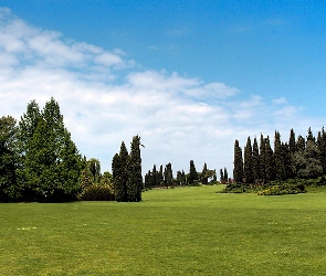 Obłoki, Trawnik, Lato, Park