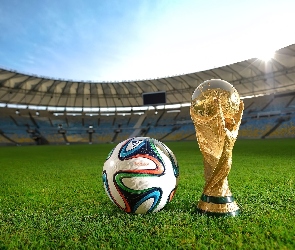 Puchar, Piłka, Mistrzostwa Świata, 2014