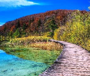 Las, Mostek, Jezioro