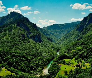 Domy, Rzeka, Góry, Las