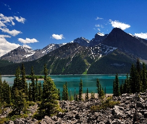 Góry, Kanada, Drzewa, Alberta, Jezioro