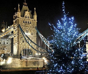 Choinka, Londyn, Tower Bridge
