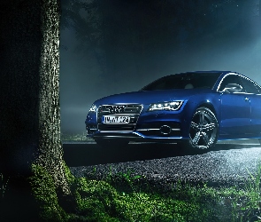 Audi, Poświata, Niebieski, S7