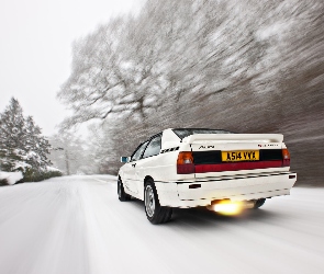 Audi, Śnieg, Białe, Quattro